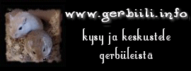 banneri2.gif