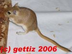 Filename=VVRT.jpg
Filesize=54KB
Dimensions=600x450
Date added=Dec 02, 2006 VVRT.jpg