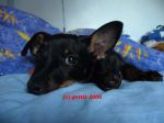 Filename=mrktylsaa.jpg
Filesize=48KB
Dimensions=600x450
Date added=Dec 02, 2006 mrktylsaa.jpg
