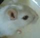 Filename=kuvaa.JPG
Filesize=1KB
Dimensions=79x75
Date added=Dec 05, 2006 kuvaa.JPG