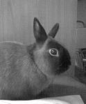 Kuva0356708.JPG